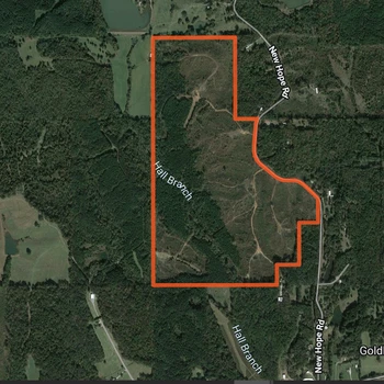 Main Listing Image