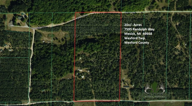 Main Listing Image