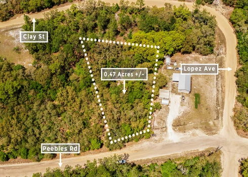 Main Listing Image