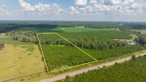 Main Listing Image