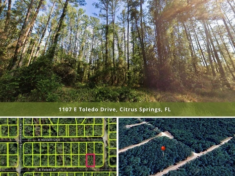 Main Listing Image