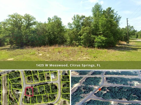 Main Listing Image