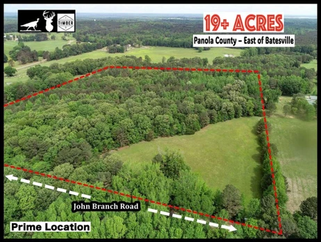 Main Listing Image