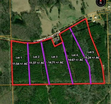 Main Listing Image