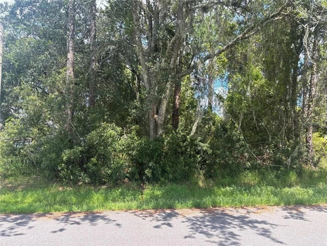 Main Listing Image