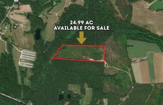 Main Listing Image