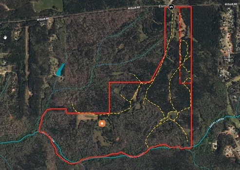 Main Listing Image