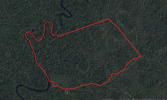 Main Listing Image