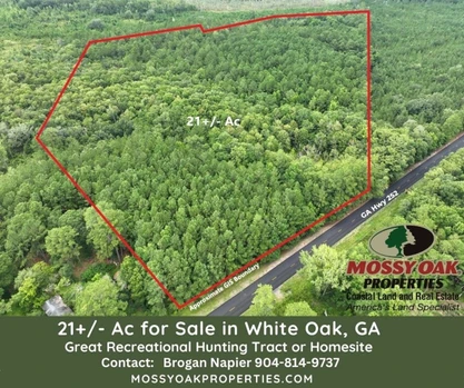 Main Listing Image