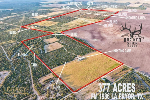 Main Listing Image