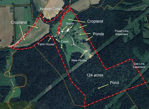 Main Listing Image