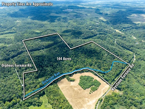 Main Listing Image