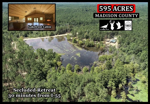 Main Listing Image
