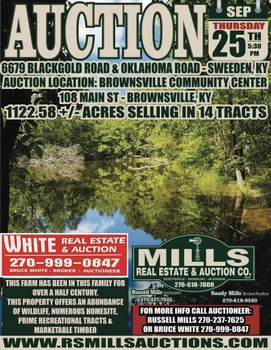 Main Listing Image