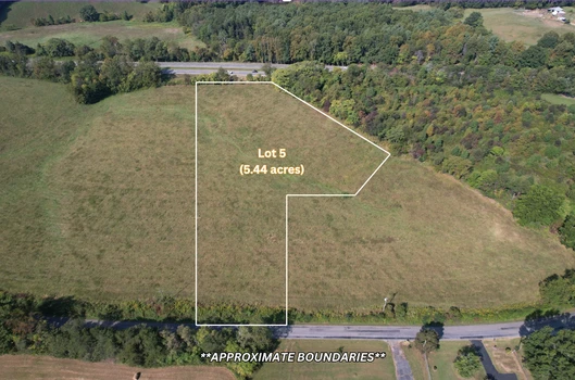 Main Listing Image