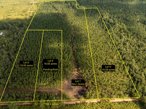 Main Listing Image