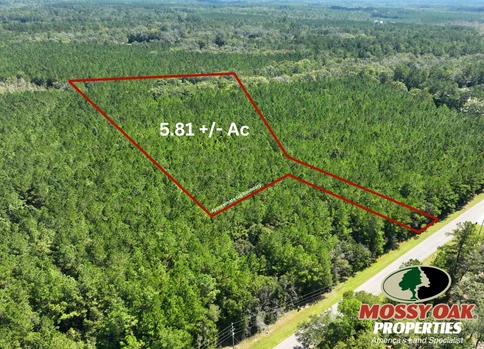 Main Listing Image