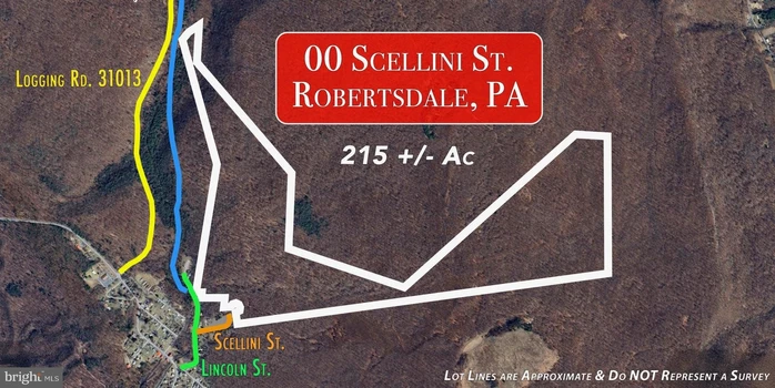 Main Listing Image