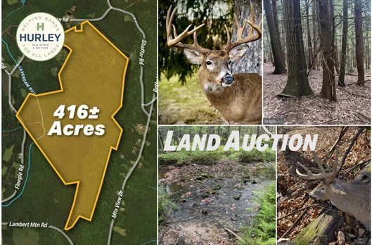 Main Listing Image