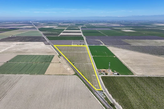 Main Listing Image