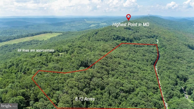 Main Listing Image