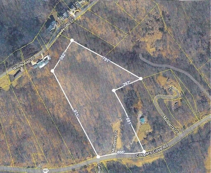 Main Listing Image