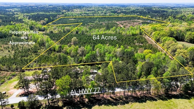 Main Listing Image