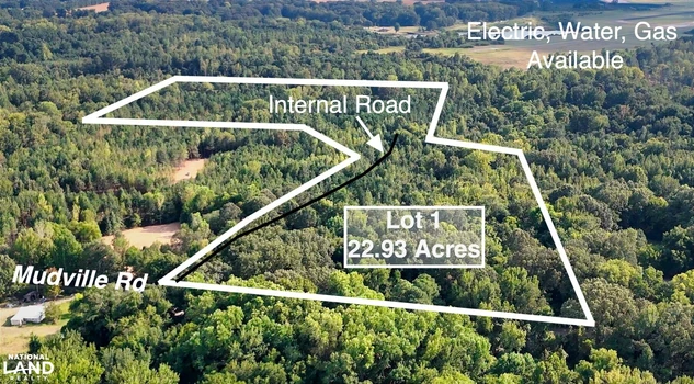 Main Listing Image