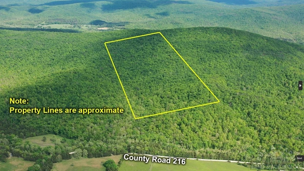 Main Listing Image