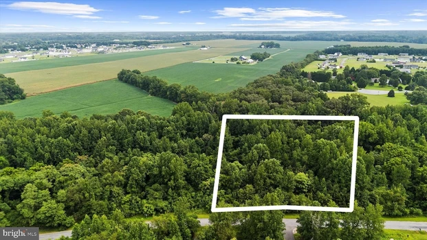 Main Listing Image