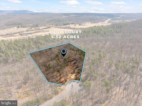 Main Listing Image