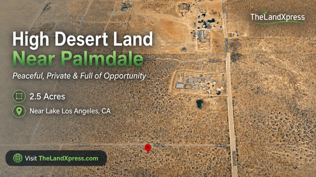 Main Listing Image