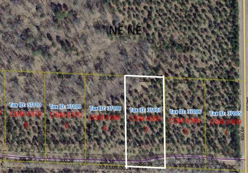 Main Listing Image