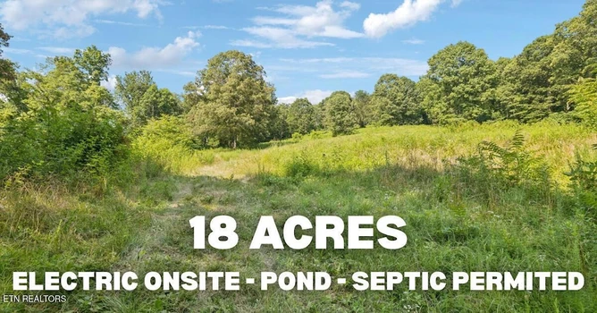 Main Listing Image