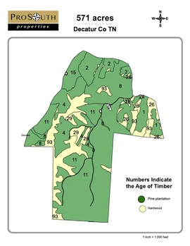 Main Listing Image