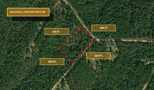Main Listing Image