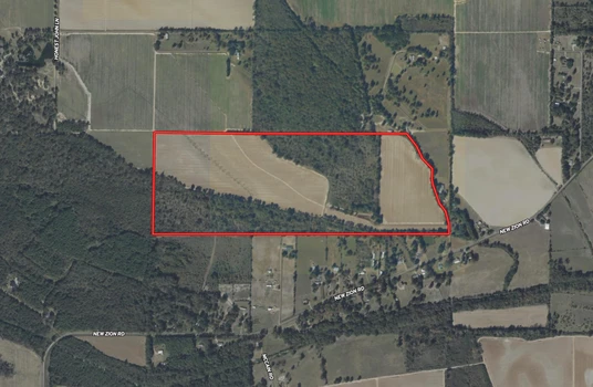 Main Listing Image