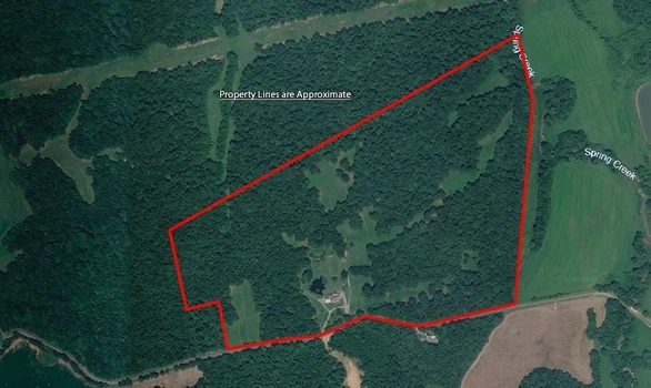 Main Listing Image