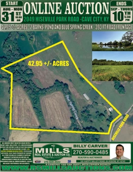Main Listing Image