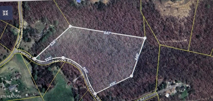 Main Listing Image