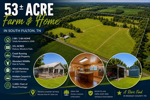 Main Listing Image