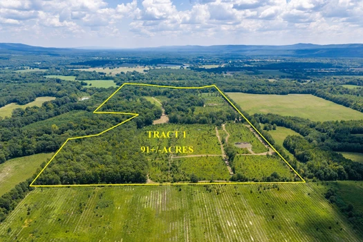 Main Listing Image