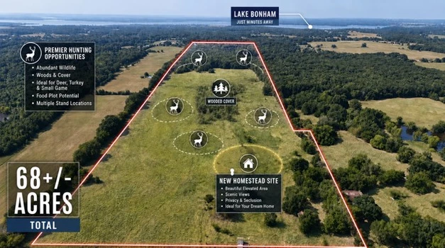 Main Listing Image
