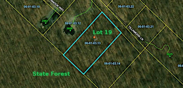 Main Listing Image