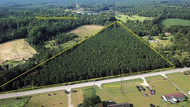 Main Listing Image