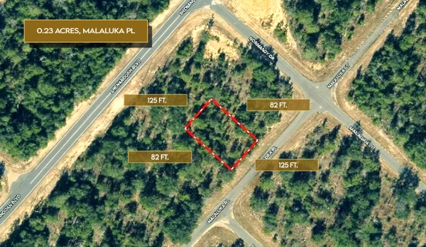 Main Listing Image