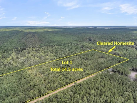 Main Listing Image