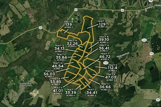 Main Listing Image
