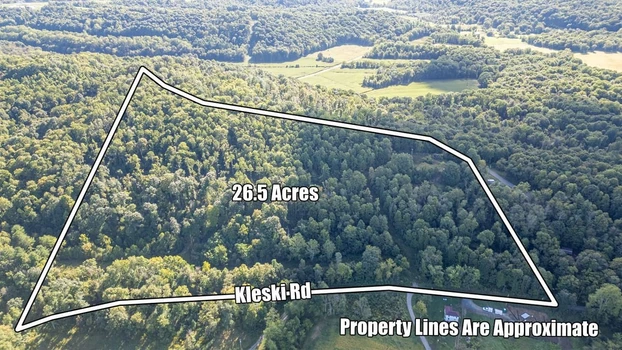Main Listing Image