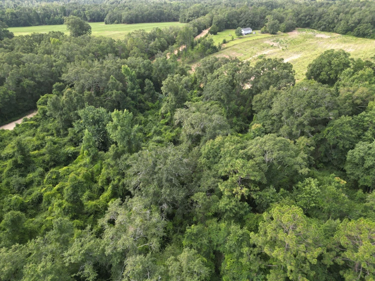 Land for Sale North Holmes Creek - 5601449230